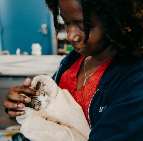 Puppy & Kitten Care in Baltimore, MD