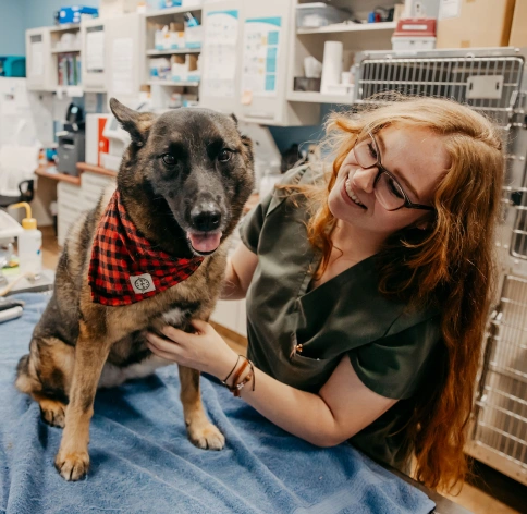 Senior Pet care in Baltimore, MD