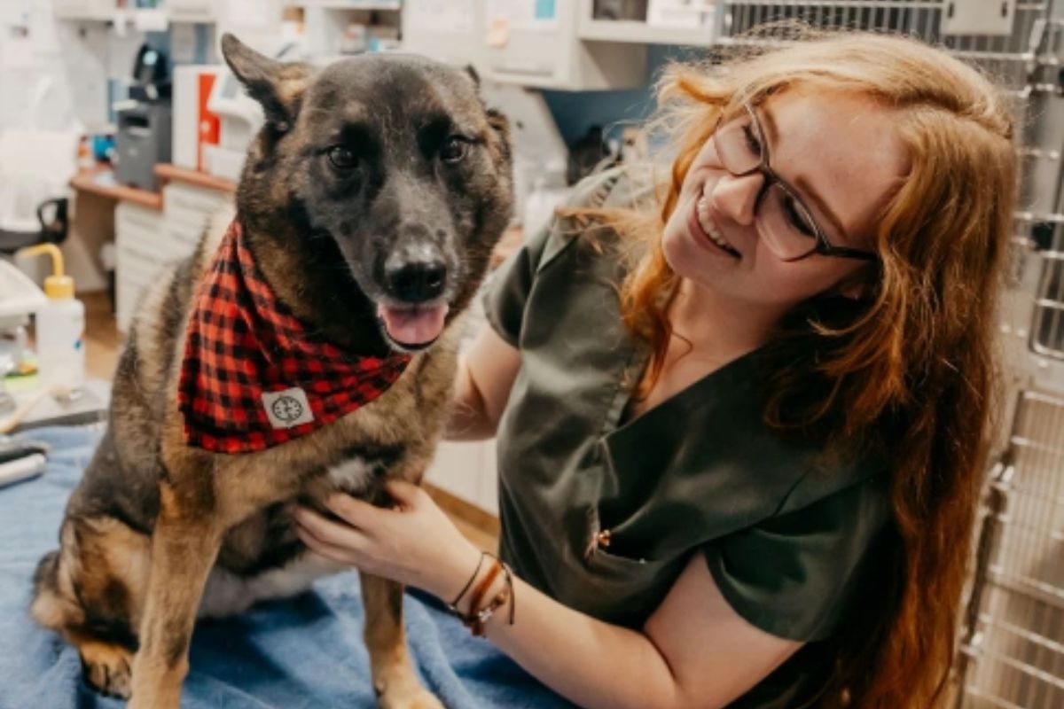 Senior Pet’s Health