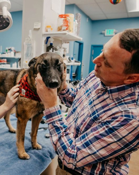 Parasite control in Baltimore, MD