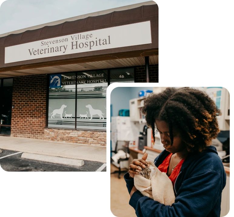Stevenson Village Veterinary Hospital in Baltimore