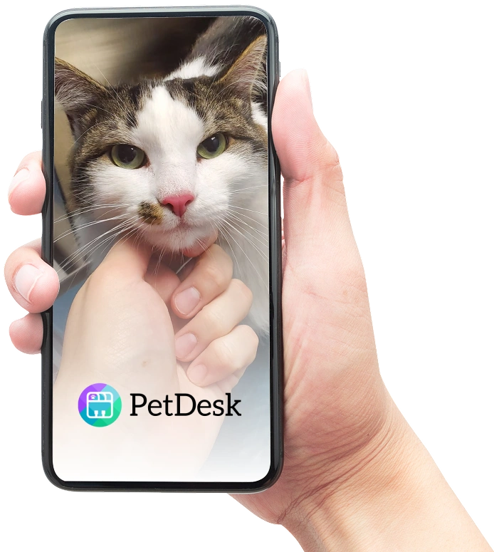 A hand holds a smartphone displaying the PetDesk app, showing a close-up photo of a tabby-and-white cat with green eyes being petted under the chin.